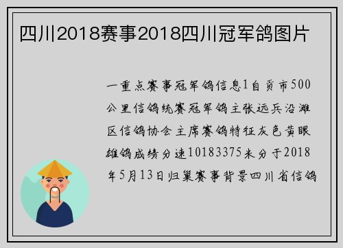 四川2018赛事2018四川冠军鸽图片